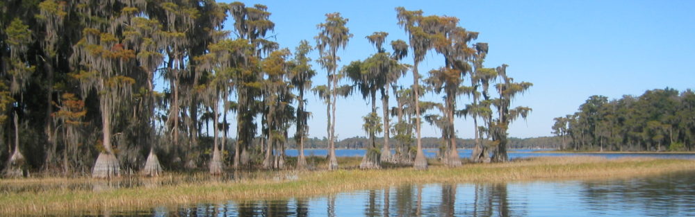 Lake Santa Fe